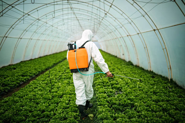 Best Best Pest Control Companies  in Pierson, FL